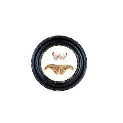 la mariposa art