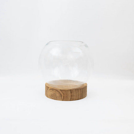 Wood base glass terrarium 