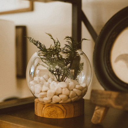 Glass terrarium with a wooden base 